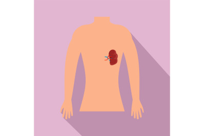 Human spleen icon, flat style