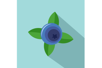 Blueberry with shadow icon, flat style