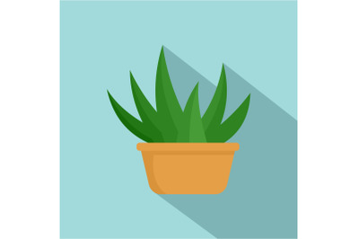 Aloe room plant icon, flat style
