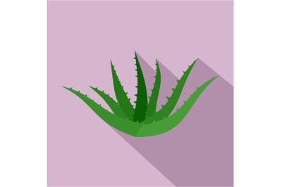 Aloe vera icon, flat style