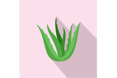 Green aloe vera icon, flat style