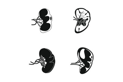 Spleen milt anatomy icons set, simple style