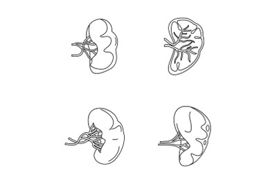 Spleen milt anatomy icons set, outline style