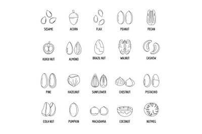 Nut types with signed names icons set outline style