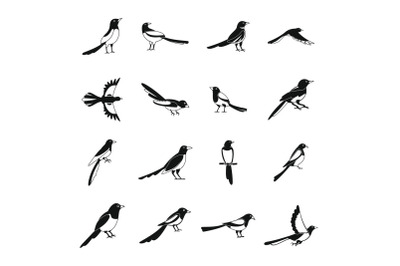 Magpie crow bird icons set, simple style
