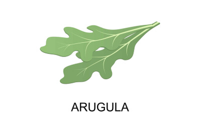 Arugula icon, isometric style