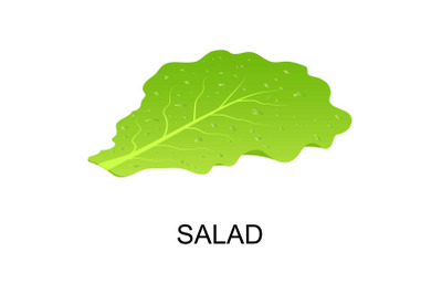 Salad icon, isometric style