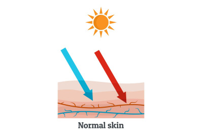 Sunllight normal skin icon, flat style