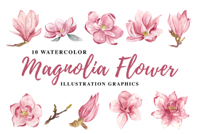 10 Watercolor Magnolia Flower Illustration Graphics