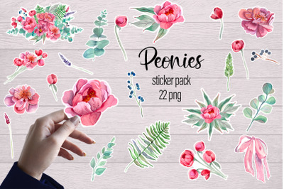 Peonies watercolor - sticker pack