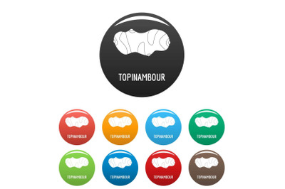 Topinambour icons set color vector