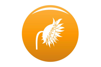 Sunflower icon vector orange