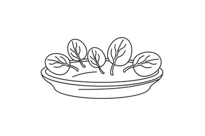 Spinach plate icon, outline style