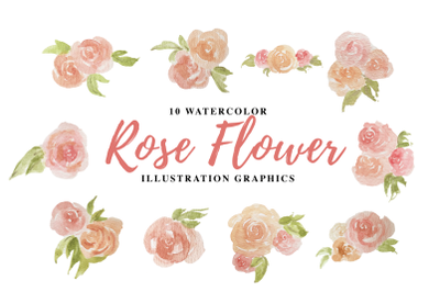 10 Watercolor Rose Illustration Graphics