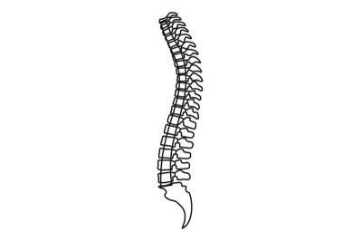 Spine icon, outline style