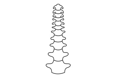 Human spine icon, outline style