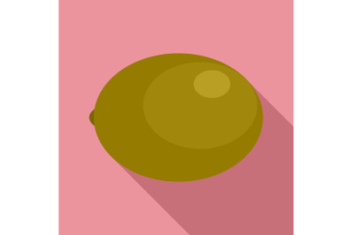 Kiwi icon, flat style