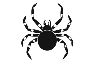 Tarantum spider icon, simple style