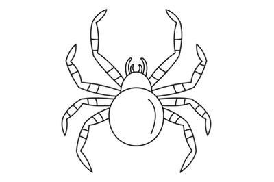 Tarantum spider icon, outline style