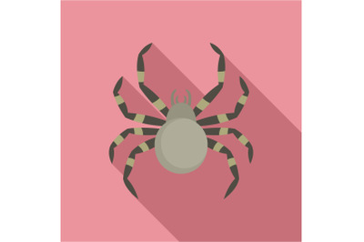 Tarantum spider icon, flat style