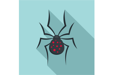Spider icon, flat style