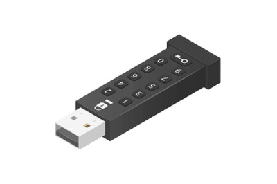 Password usb flash icon, isometric style