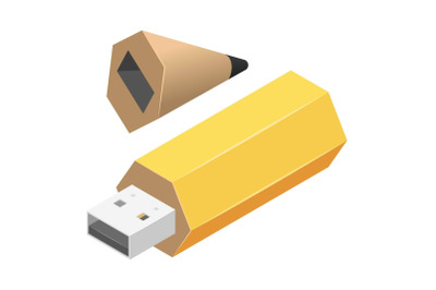 Pen usb flash icon, isometric style