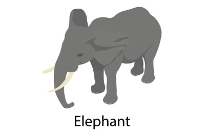 Elephant icon, isometric style