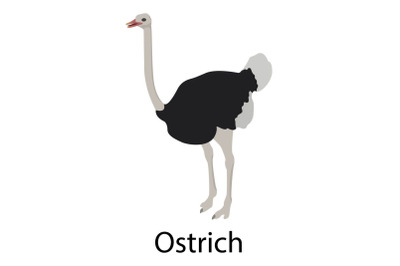 Ostrich icon, isometric style