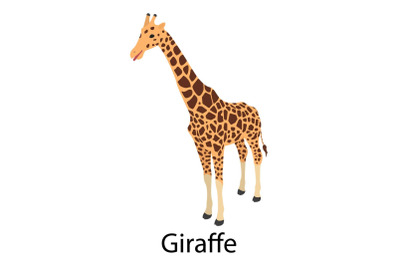 Giraffe icon, isometric style