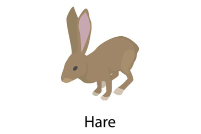Hare icon, isometric style