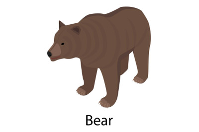 Bear icon, isometric style