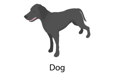 Dog icon, isometric style