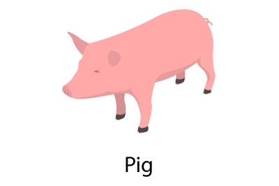 Pig icon, isometric style