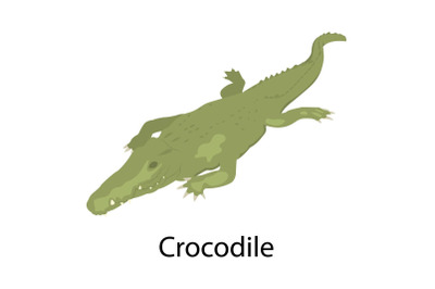 Crocodile icon, isometric style