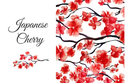 Japanese cherry collection