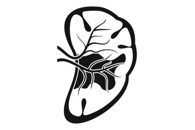 Cut spleen icon, simple style