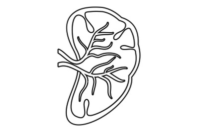 Cut spleen icon, outline style