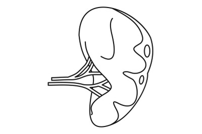 Human spleen icon, outline style