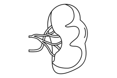 Healthy spleen icon, outline style