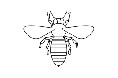 Bee icon, outline style