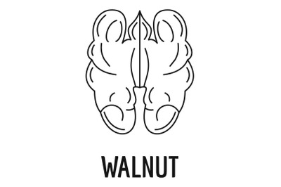 Walnut icon, outline style