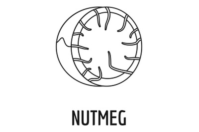 Nutmeg icon, outline style