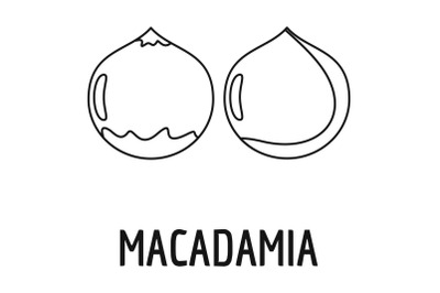 Macadamia icon, outline style