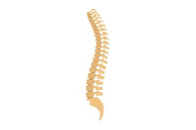 Spine icon, flat style