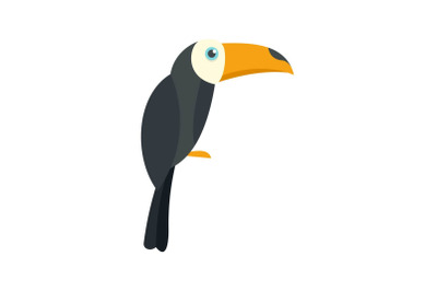 Brazilian toucan icon, flat style