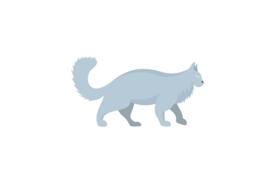 Grey cat icon, flat style