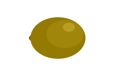 Kiwi icon, flat style