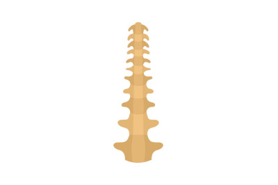 Human spine icon, flat style