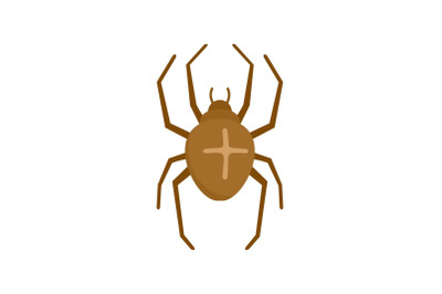 Cross spider icon, flat style